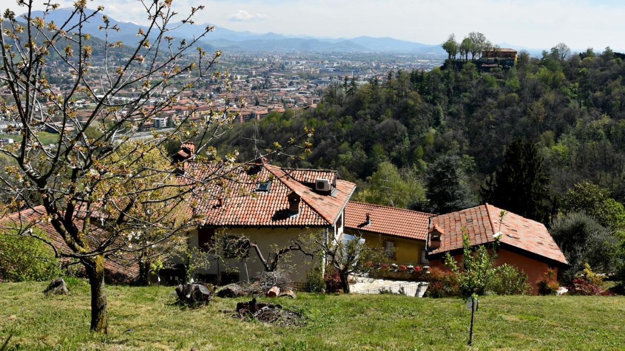 Il Giardino Di Berbech Citta Alta-Ulivo Apartment Бергамо Екстериор снимка