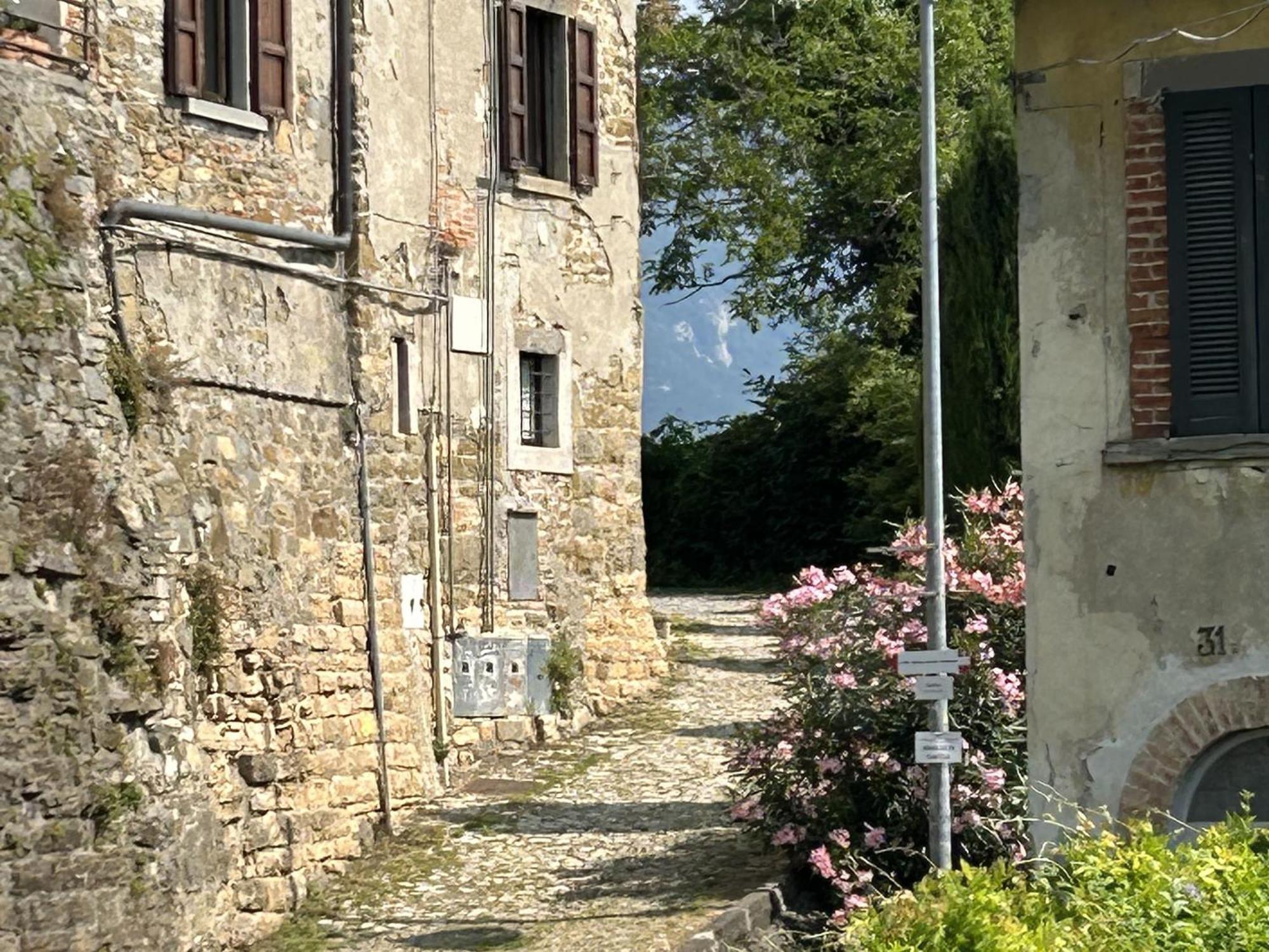 Il Giardino Di Berbech Citta Alta-Ulivo Apartment Бергамо Екстериор снимка